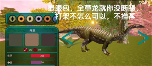 诅咒之岛国际服