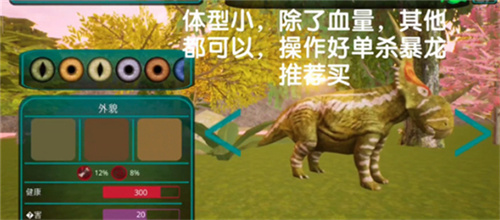 诅咒之岛国际服