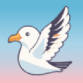 海鸥体育安卓版手机版 v1.0