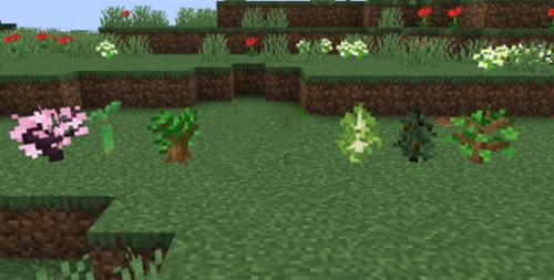 我的世界基岩版手机版