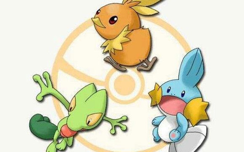 口袋妖怪究极绿宝石5.5