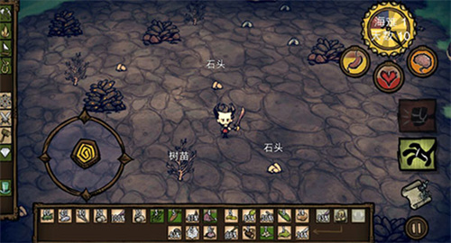 饥荒海滩安卓版