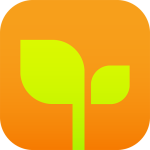 亲宝宝官方版免费下载v11.10.9